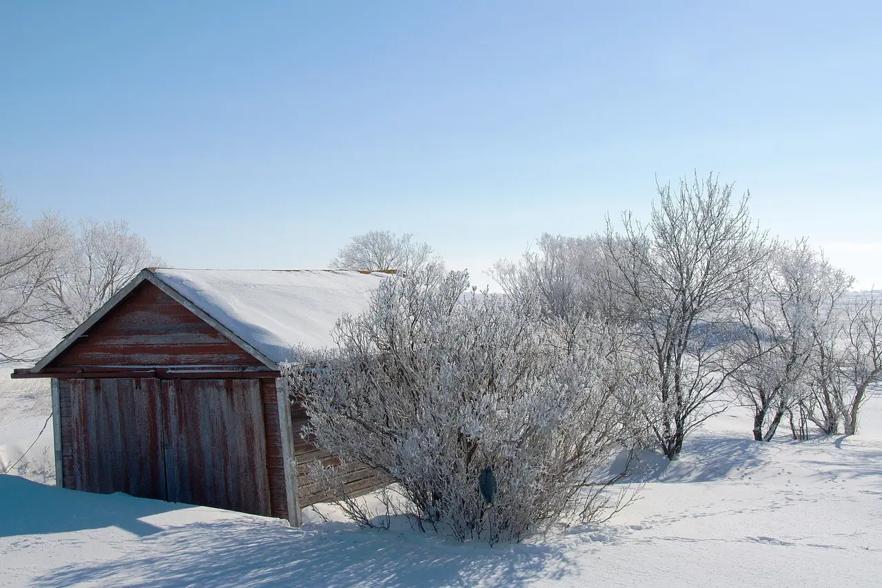 Frosty trees and old shed in winter, 2009